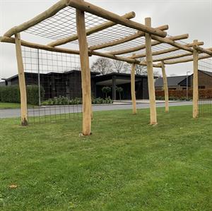 Pergola i robinietræ med net på sider og tag